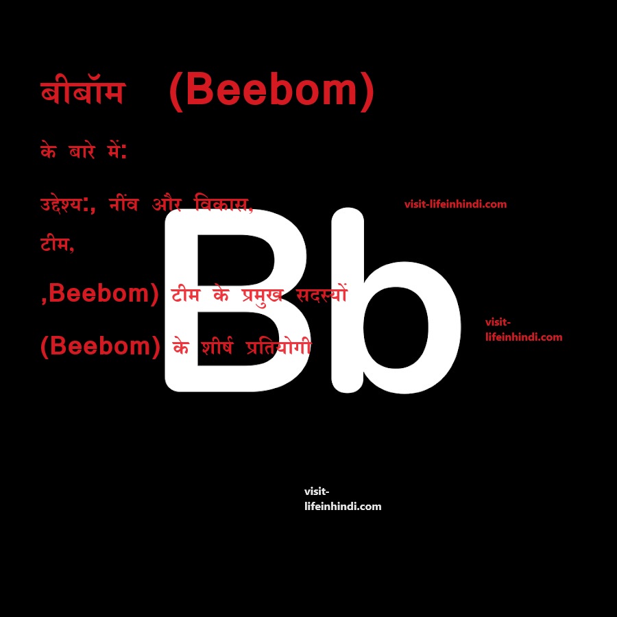 Beebom Motive,Beebom Foundation and development,Beebom user base,Beebom Team,Director Of beebom media private limited,Top Competitors of Beebom,