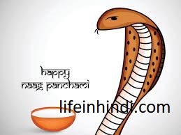 happy-nag-panchami-date-time-vidi-celebration-in-hindi