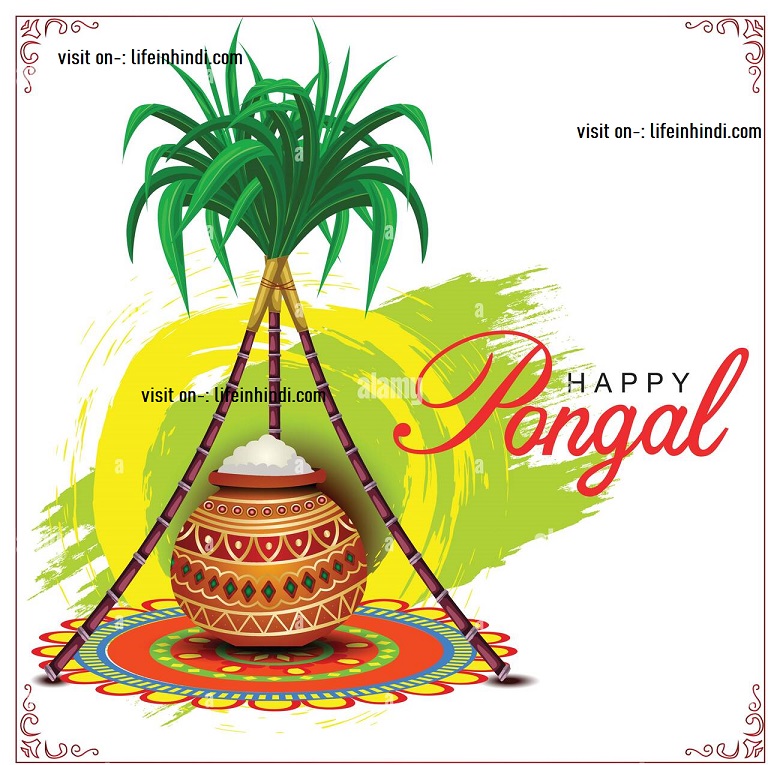 tamil-nadu-festival-of-happy-pongal-celebration-FESTIVAL-CELEBRATION-PUJA-VIDHI-UPWAS-KHARNA-DATE-TIME-IN-HINDI